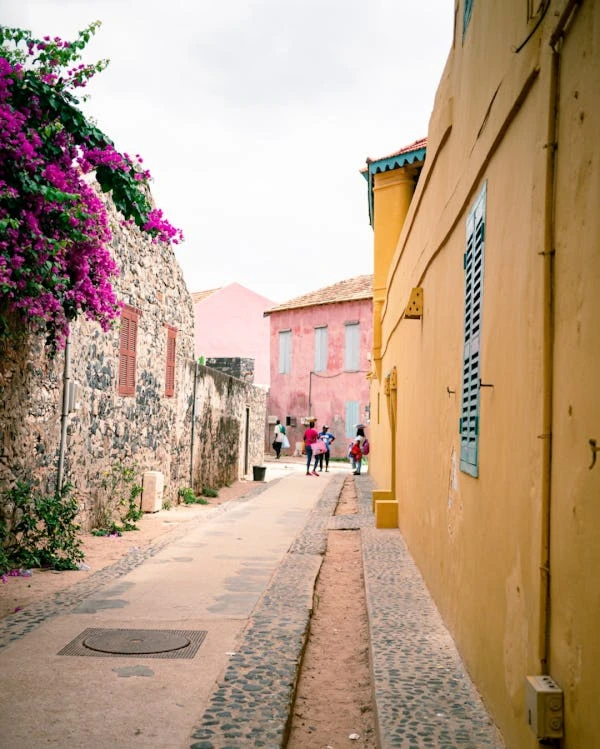 SENEGAL VUELO DESDE MADRID VERANO 2024