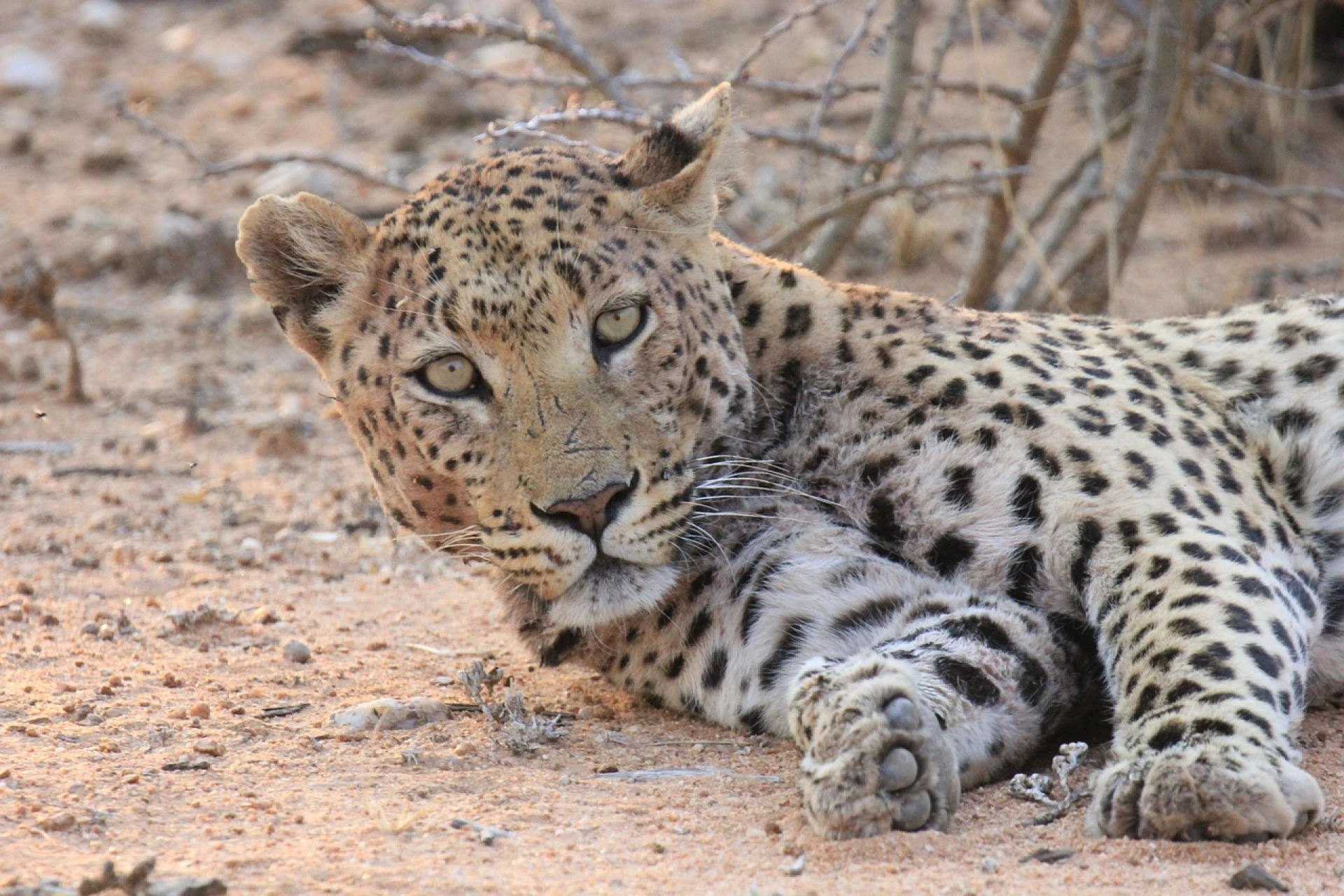 Descubre Namibia | JUL - OCT 26