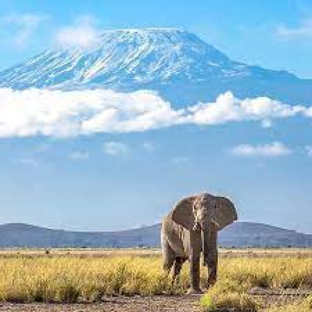 ROMANCE EN KENIA  Y TANZANIA