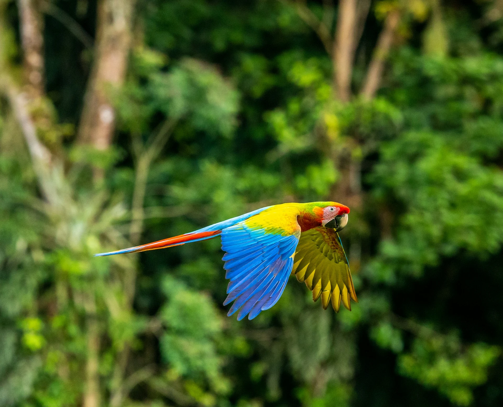 COSTA RICA DE ENSUEÑO
