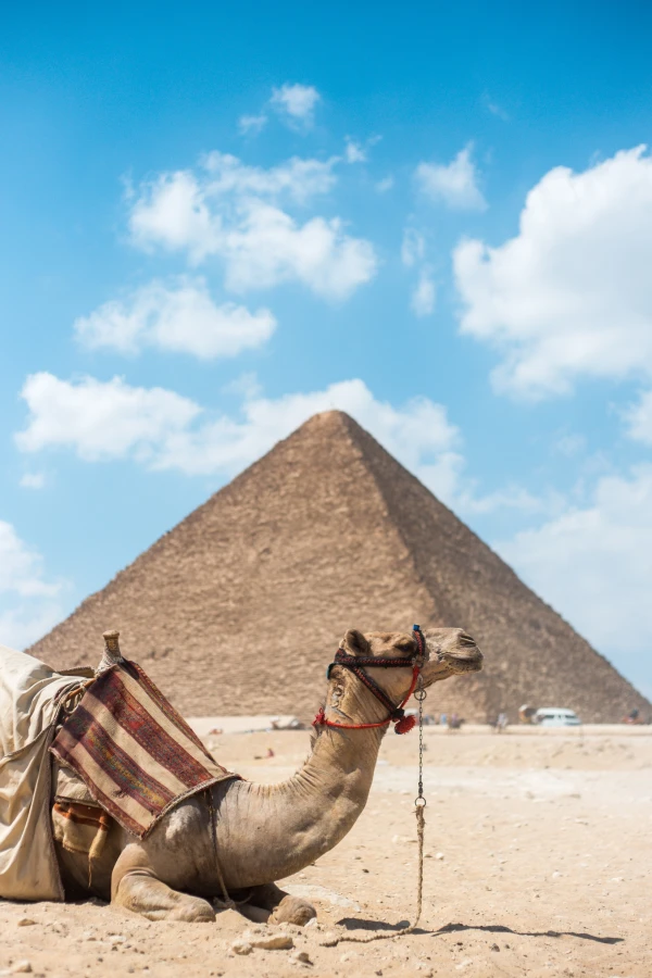 DESCUBRE EGIPTO | FEB 26 - FEB 27