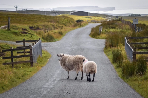 Paisajes de Escocia e Irlanda | ABR-OCT 26