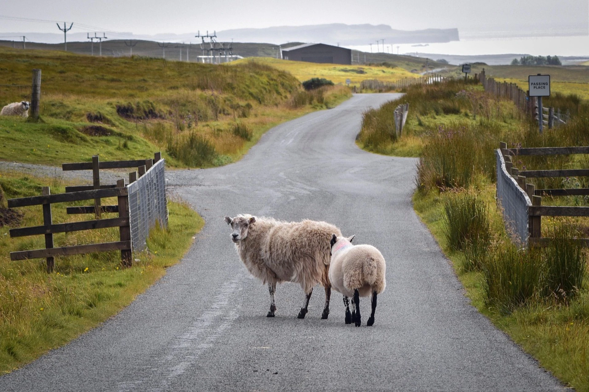 Paisajes de Escocia e Irlanda | ABR-OCT 26