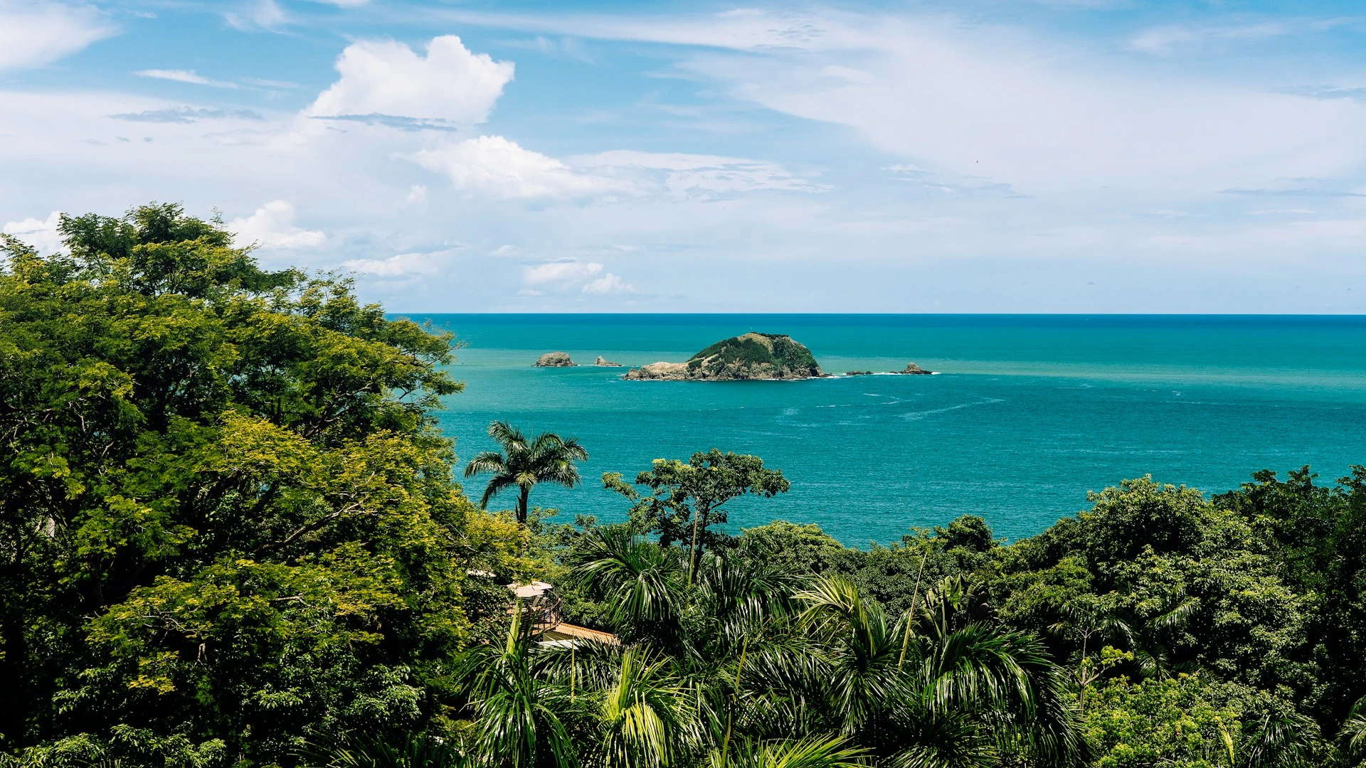 Pura Vida con Manuel Antonio - VERANO 2026