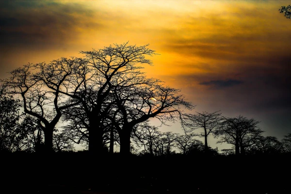 Paisajes y culturas infinitas