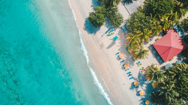 VIAJE A PUNTA CANA  2026