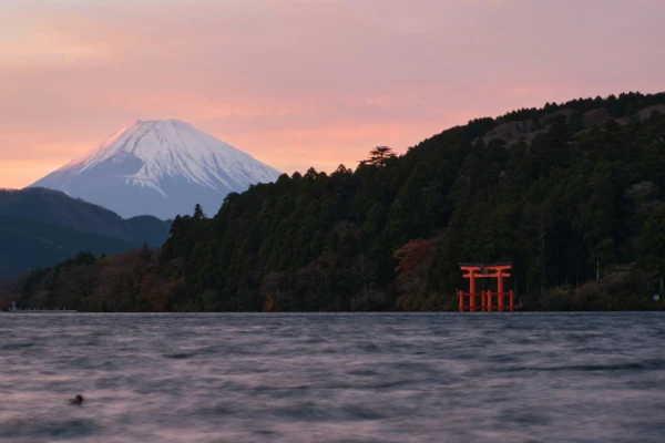 Japón en crucero | 25 FEB 26