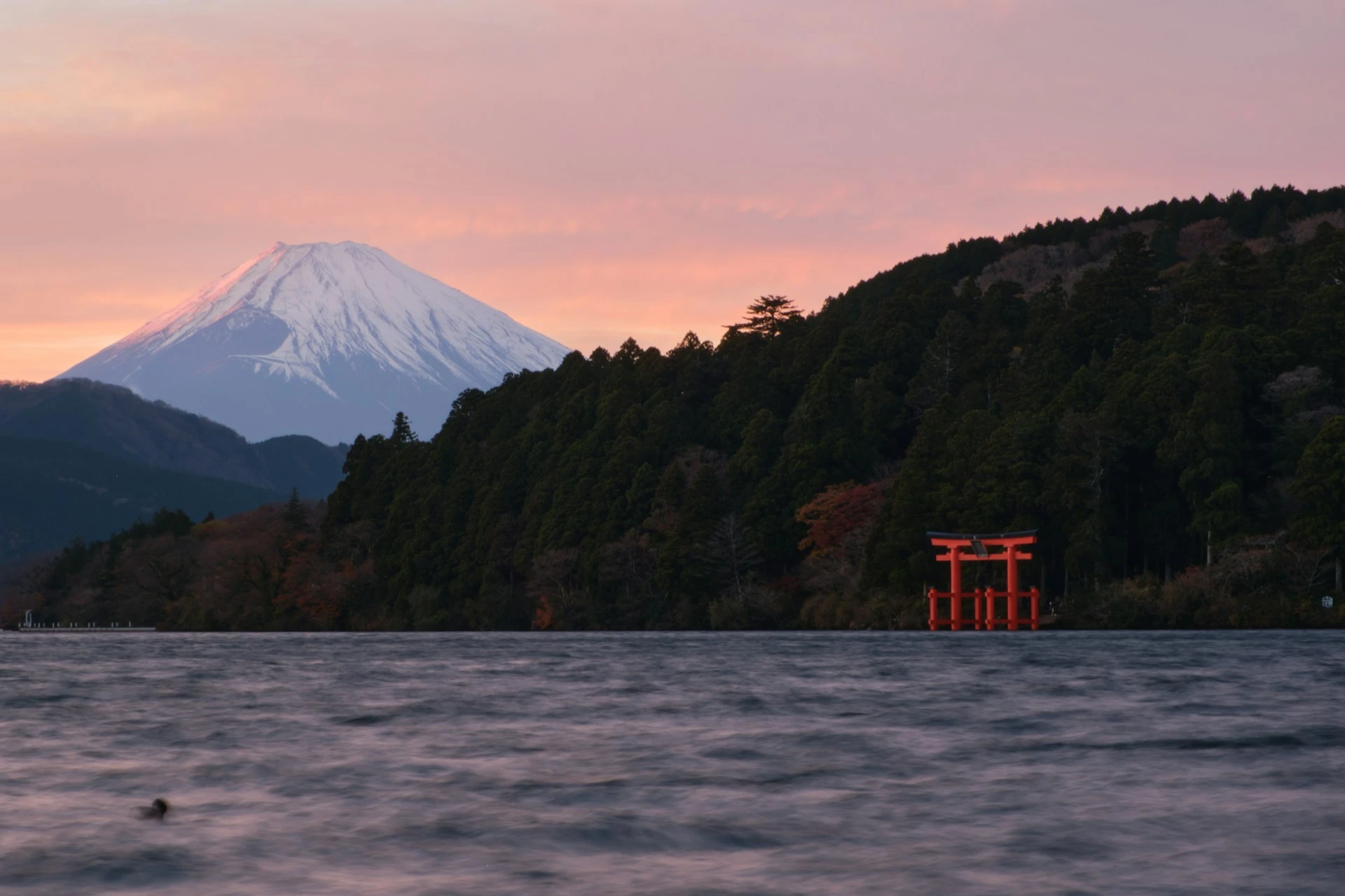 Japón en crucero | 25 FEB 26