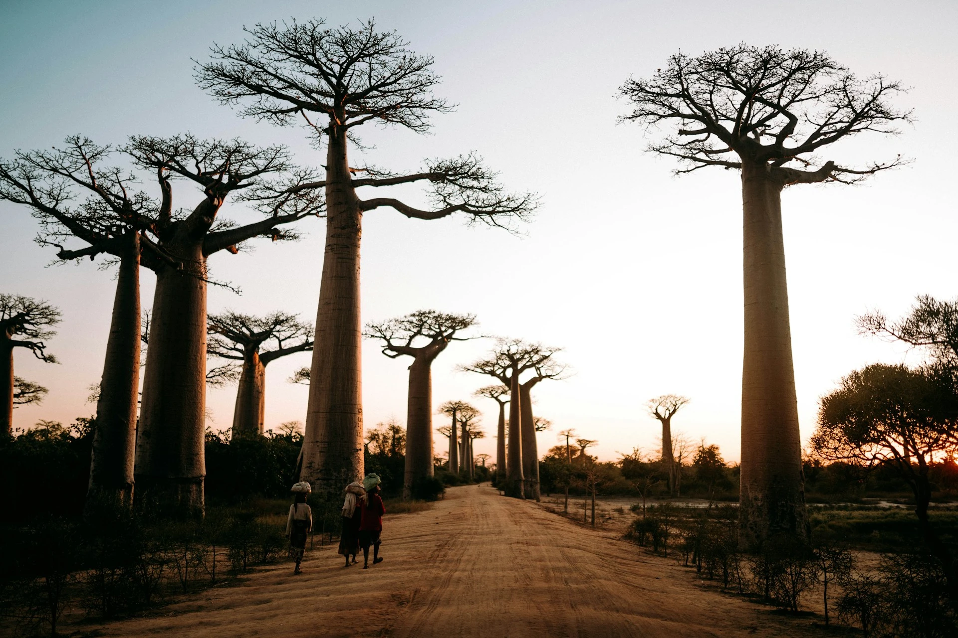 BELLEZAS DE MADAGASCAR