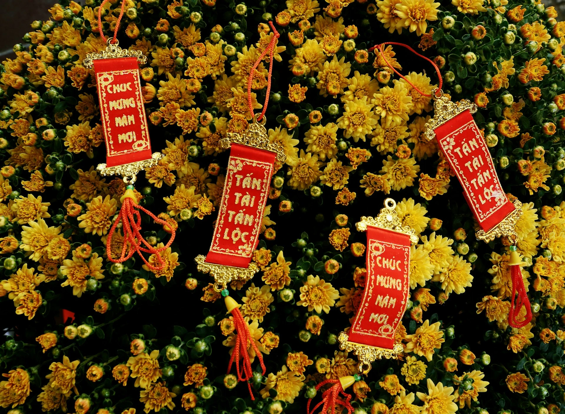 VIETNAM FANTÁSTICO - ¡ESPECIAL FIN DE AÑO! | 26 DIC 26
