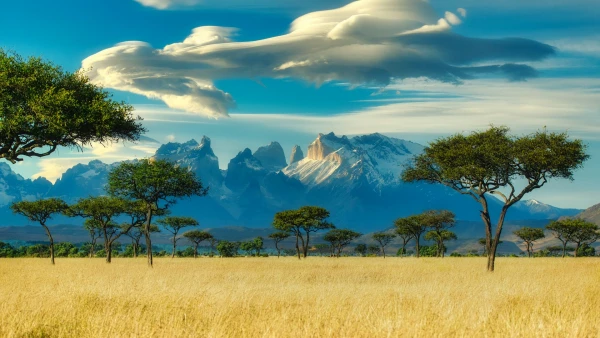 KENYA Y MOMBASA 