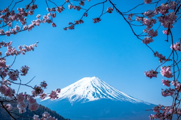 CONTRASTES DE JAPÓN | 18 NOV 26