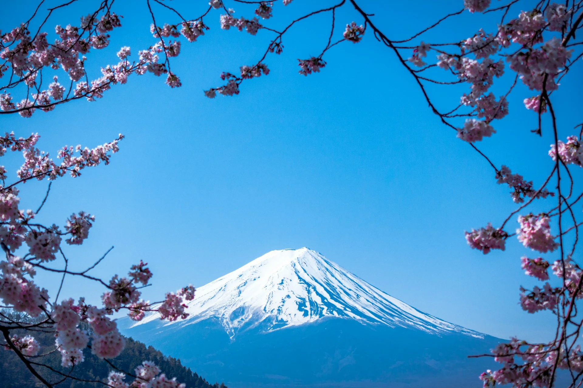 CONTRASTES DE JAPÓN | 18 NOV 26