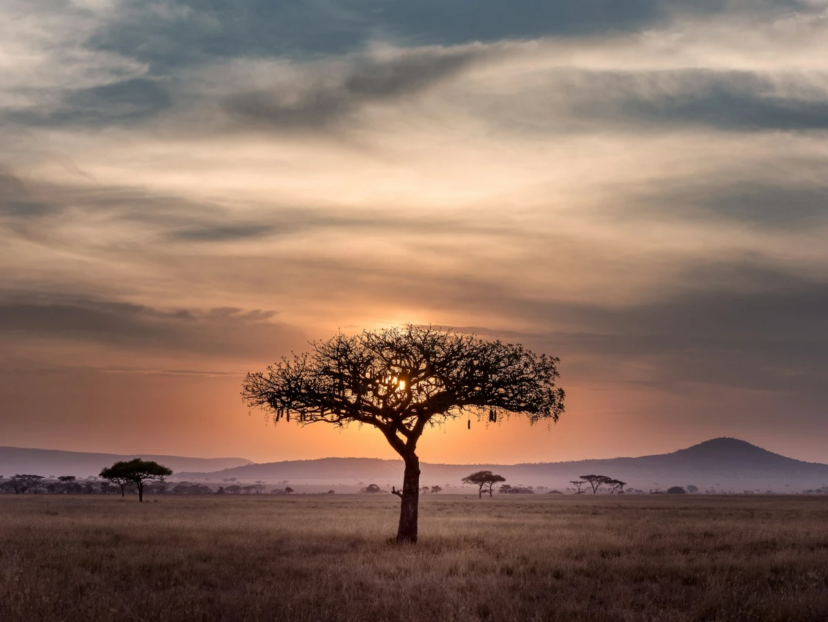 VIAJE DE AUTOR TANZANIA | 01 DIC