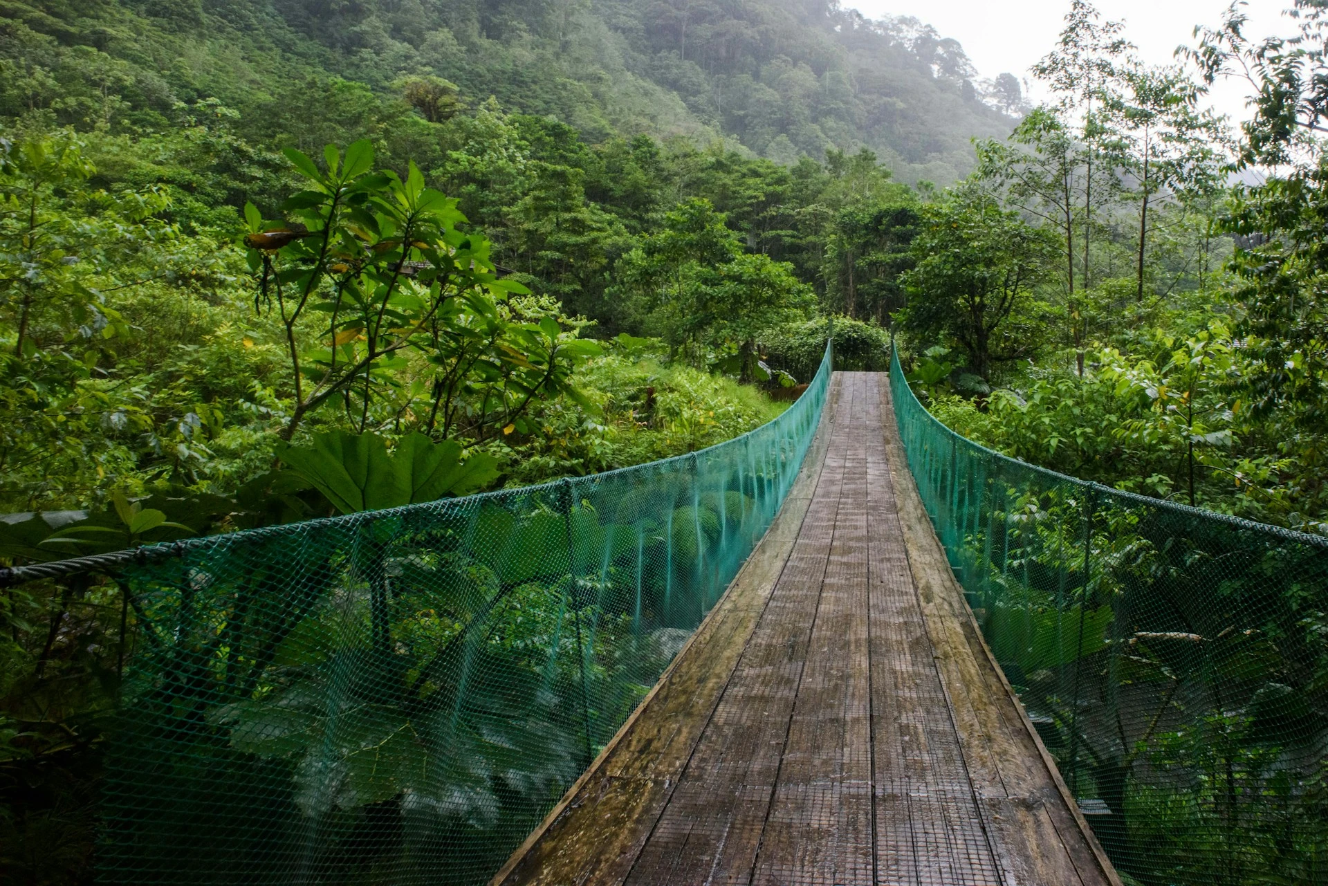Descubre Costa Rica con Guanacaste - VERANO 2026