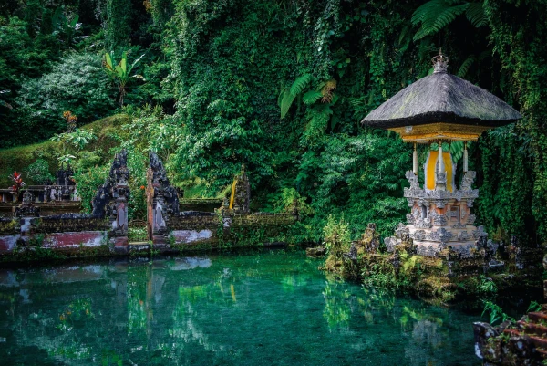 HONG KONG Y BALI | ABR - NOV 26