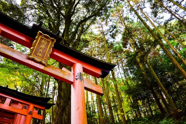 JAPÓN KUMANO KODO |  EN 26 - ABR 27 