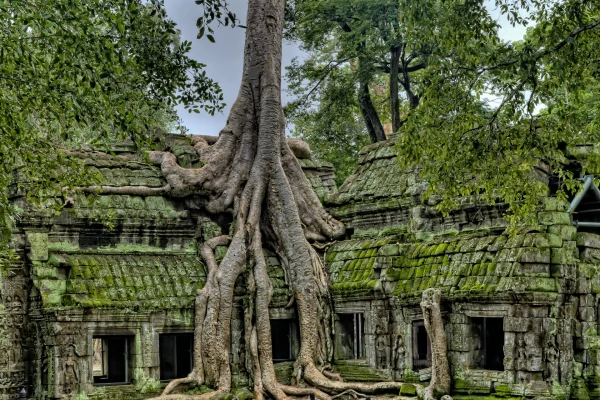 Colores de Camboya