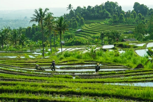 INDONESIA | 5 DE OCTUBRE 