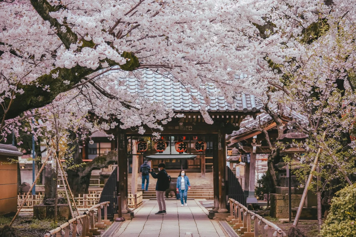 Japón Matsumoto  | 20 mar 27