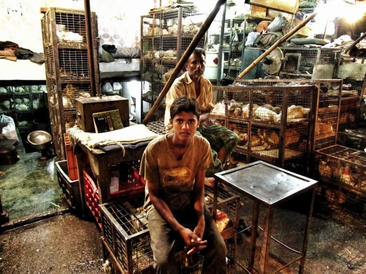 Paisajes humanos en Nueva Delhi