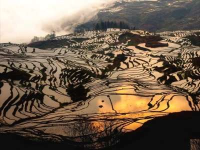 Amanecer en los arrozales