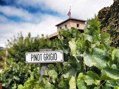 El fondo submarino de la vida