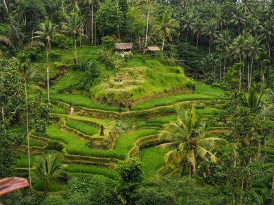 Especial Lunas de Miel