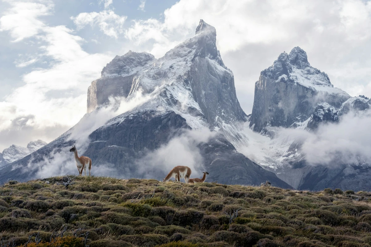 Andes Ecuatoriales | JUN - DIC 26
