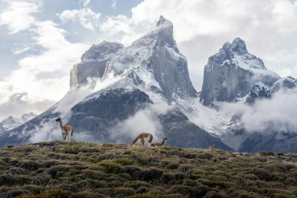 Andes Ecuatoriales | JUN - DIC 26