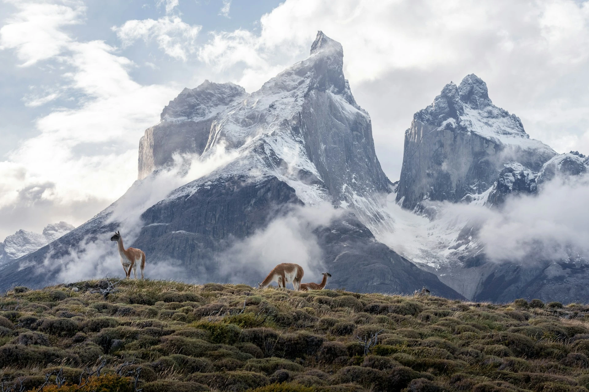 Andes Ecuatoriales | JUN - DIC 26