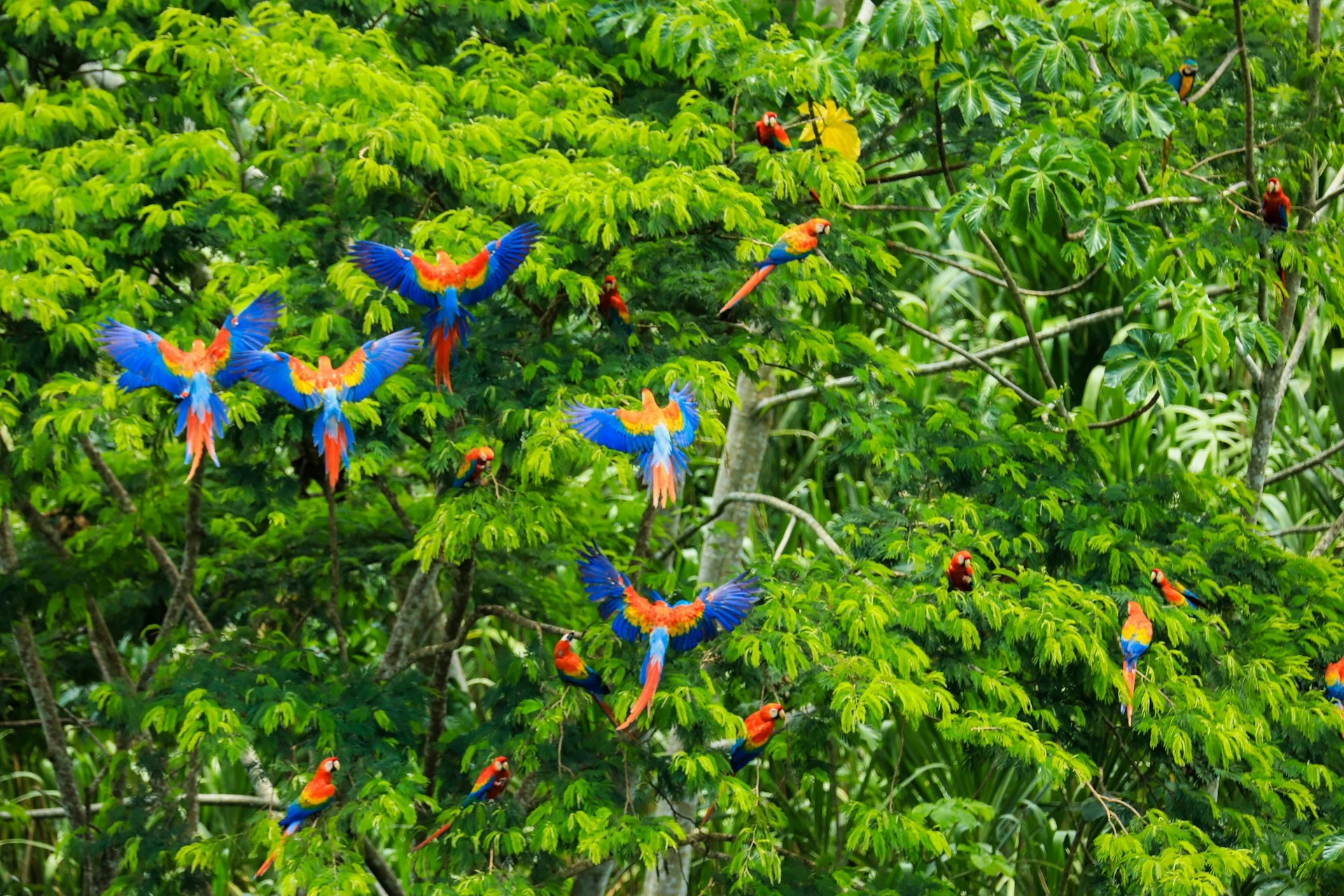 Andes y Amazonia | JUN - DIC 26