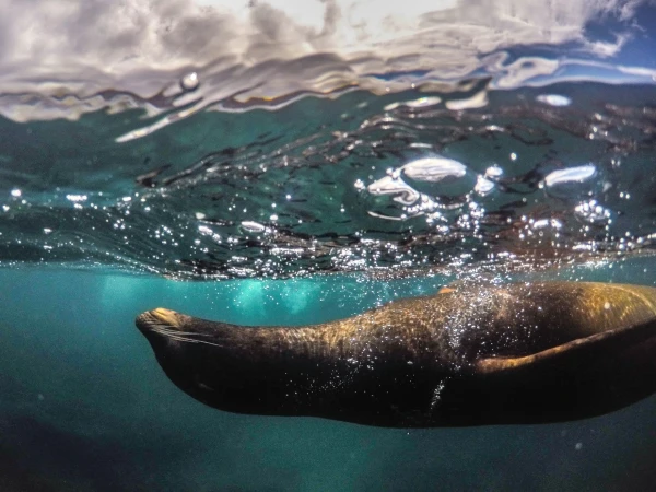 Maravillas de Ecuador y Galápagos | JUN - DIC 26