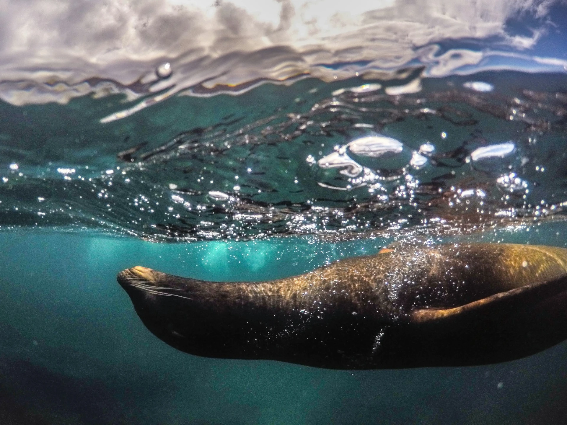 Maravillas de Ecuador y Galápagos | JUN - DIC 26