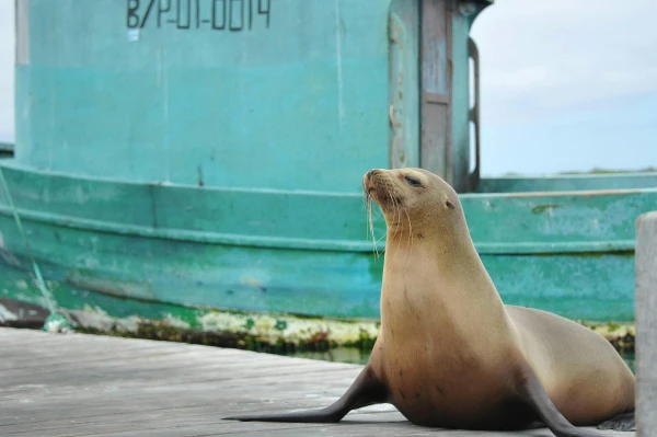 Maravillas de Ecuador y Galápagos | JUN - DIC 26