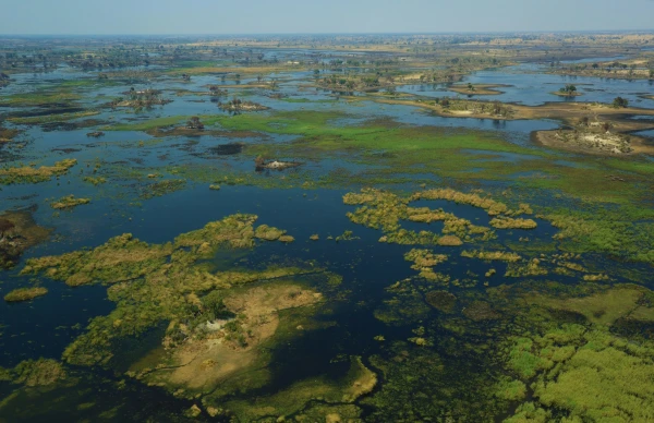 Botswana: Desierto y agua |  29 MAR
