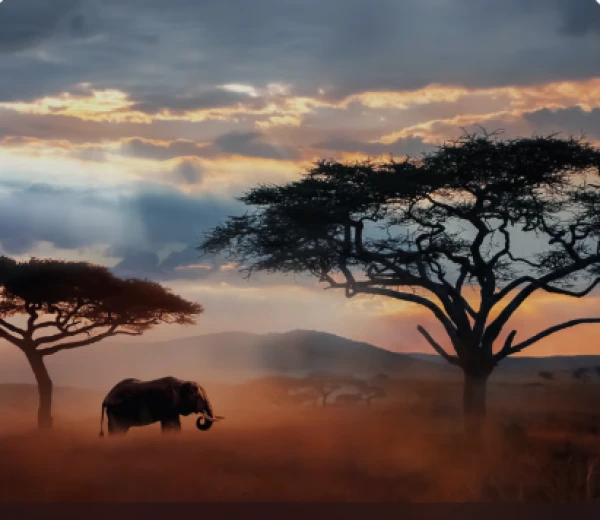 Lo mejor de Tanzania | DESDE JUN HASTA DIC 26