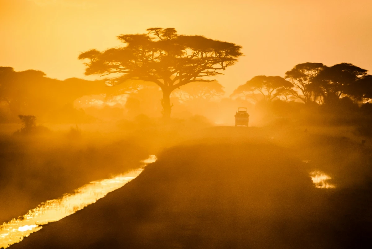 Paisajes de Sudáfrica, Ruta jardín  | AGO - OCT 26