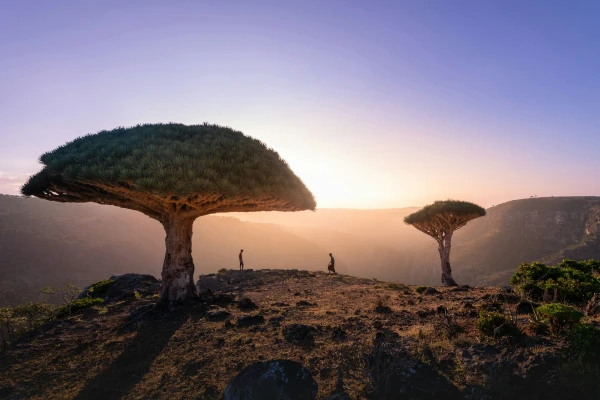 Paisajes de Sudáfrica, Ruta jardín  | AGO - OCT 26