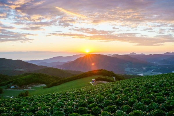 Tradición y Naturaleza | MAR - NOV 26