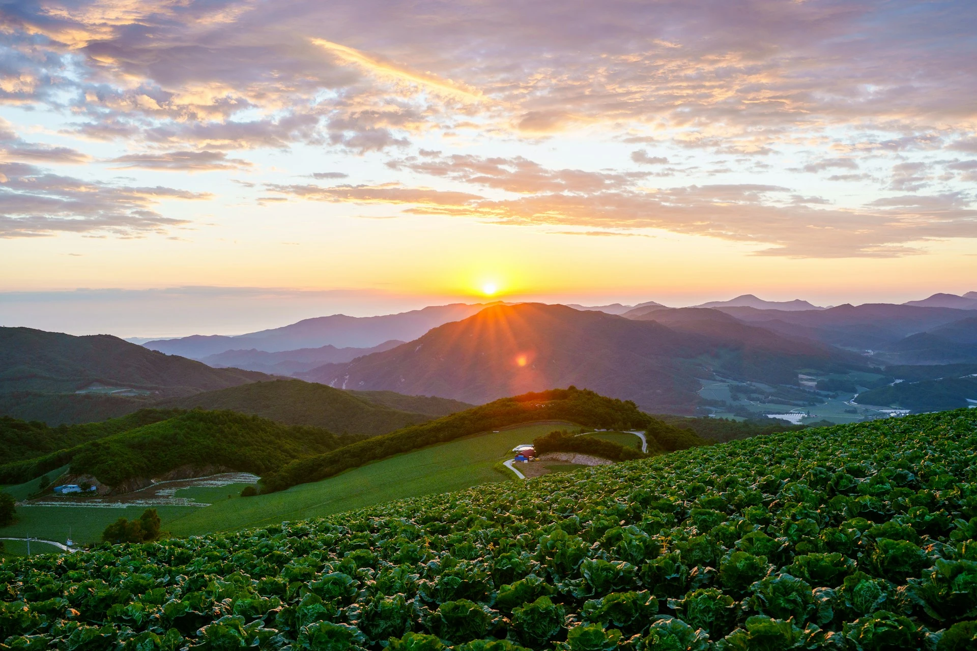 Tradición y Naturaleza | MAR - NOV 26