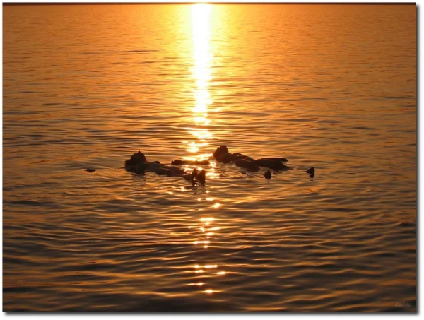 La Perla de Jordania