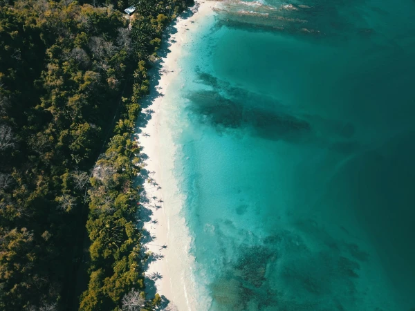 Costa Rica: parques y playas | JUL - OCT 26