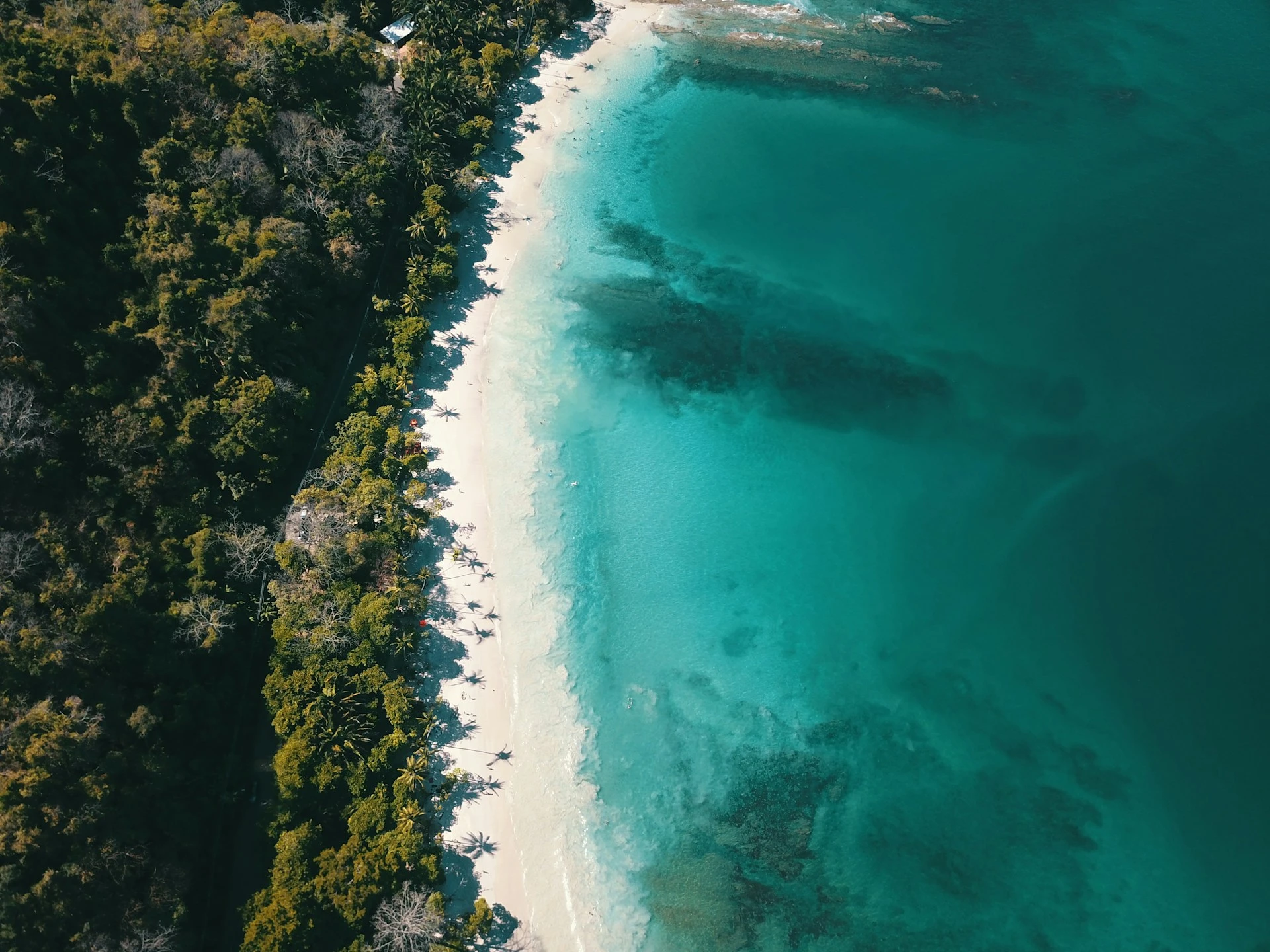 Costa Rica: parques y playas | JUL - OCT 26