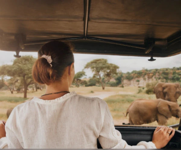 Tanzania Simba