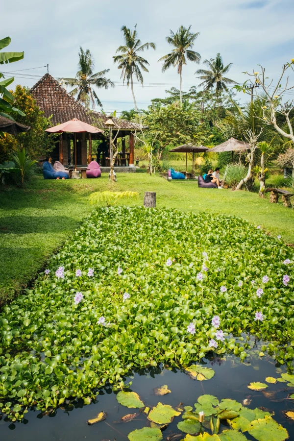 ROMANCE EN UBUD,GILI Y PLAYAS DE BALI